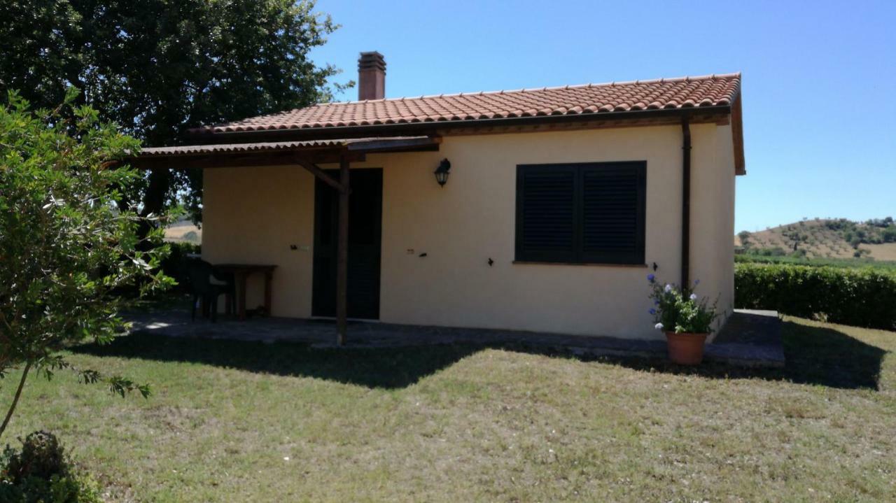 Agriturismo Cavallin Del Papa Capalbio Bagian luar foto